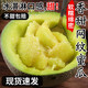 橙小士網(wǎng)紋蜜瓜新鮮玫龍冰淇淋蜜甜瓜當季新鮮孕婦水果整箱 5斤優(yōu)選冰淇淋甜瓜【2-4個(gè)】