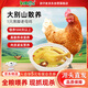 BOZAIJIA波仔家大別山散養(yǎng)黑腳老母雞 凈重2斤 慢養(yǎng)500天土雞 源頭直發(fā)