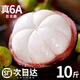山姆伯伯 泰國新鮮山竹禮盒【多地次日達】山竹6a水果禮盒中秋禮品 5斤裝【巨劃算-80%選】凈4斤 爆甜 | 【真5A級】大果 單果80g+