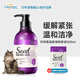 格倫仕寶（Carexpro）寵物沐浴露籽粹氨基酸配方香波貓咪沐浴露 美發(fā)溫和清潔500ml