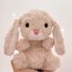 Jellycat【現貨】英國yummy甜美小兔安撫玩偶毛絨公仔娃娃可愛(ài)女生日禮物 米色甜美小兔+送防塵袋 15cm【熱銷(xiāo)款】