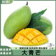 閩域?qū)r青皮芒果新鮮水果當(dāng)季玉芒水果【自然成熟】新鮮采摘自家種植青芒 5斤【單果230g+】?jī)糁?.5斤 【老樹(shù)果，更香甜】