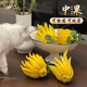 臨雅佛手柑水養(yǎng)綠植水培植物佛手瓜擺件室內(nèi)盆栽插花中果2顆源頭直發(fā)