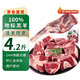 懷仁羔羊 羊前腿塊4.2斤  燉肉火鍋食材 帶肉羊棒骨 源頭直發(fā) 【1袋】羔羊原切羊前腿塊4.2斤