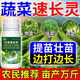 蔬菜葉菜專(zhuān)用葉面肥家用菜園白菜青菜韭菜香菜催生速長(cháng)增產(chǎn)通用肥 3瓶【蔬菜吃不完】