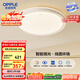 歐普（OPPLE）48瓦吸頂燈客廳臥室燈簡約護(hù)眼智控調(diào)光LED燈具18㎡品見III包安裝