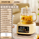 斗禾（DOUHE）【25年新品】養(yǎng)生壺全玻璃壺體煮茶壺辦公室家用0膠水玻璃茶濾燉盅花茶壺燒水壺電熱水壺 茶濾款【72H長效保溫】全玻璃 1.6L