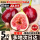 田良季超大紅皮無(wú)花果鮮果【順豐多地次日達】云南四川格萊斯水果送禮品 3斤裝【80%人選很劃算】?jì)?斤 7S級丨單果40g+丨甜
