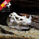 OIMG仿真恐龍骷顱頭骨躲避屋樹(shù)脂假山水草造景頭骨魚(yú)缸水族箱裝飾擺件 XL564犀牛頭骨