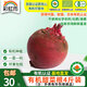 彩虹雨 【基地直發(fā)】有機紅根甜菜根歐盟認(rèn)證有機蔬菜北京自有農(nóng)場 有機甜菜根4斤外傷疤痕品 無售后