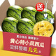 黃心特小鳳西瓜水果新鮮麒麟現(xiàn)摘冰淇淋西瓜當季整箱甜送網(wǎng)紅瓜勺 果重【2斤】一個裝鮮甜可口 人工精選-現(xiàn)摘-送網(wǎng)紅瓜勺