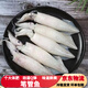 新鮮野生筆管魚海兔鮮活海兔燈光小魷魚一口魷魚生鮮冷凍火鍋海鮮 1000g(凈重)  筆管魚2斤
