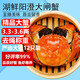 【活蟹】湖鮮陽(yáng)澄 大閘蟹 去繩足重 3.3-3.6兩 12只 鮮活六月黃現(xiàn)貨超大螃蟹海鮮禮盒裝