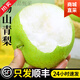 正宗碭山青梨10斤順豐翠冠梨皇冠梨雪梨新鮮水果探鮮鋒 9斤 [大果]高丨順豐發(fā)貨