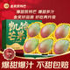 沐小七果蔬 四川攀枝花凱特芒果 【多地次日達】大青皮芒果新鮮水果中秋禮盒 9A級稀缺果王【我蕞甜】單果400g+ 9斤【高端精美禮盒】?jì)?.5斤|送禮