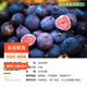 虹越（HONGYUE）無(wú)花果樹(shù)果苗 多品種多年生庭院果樹(shù)南方北方種植果樹(shù)苗HN 【中苗帶盆】虹安紫果1加侖（苗齡1-2年）