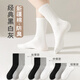 佰姿緣純棉襪子男女士白色夏季薄款中筒運動(dòng)純白色短襪春秋諸暨情侶長(cháng)襪 【長(cháng)筒】10雙白色-更優(yōu)惠 均碼 36-44【抗起球/情侶款】