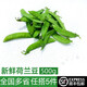 綠食者 新鮮荷蘭豆500g 甜豆 青豆角 四季豆莢 農(nóng)家新鮮蔬菜