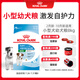 皇家狗糧幼犬狗糧幼犬奶糕寵物小型犬MIJ31全價犬糧2-10月8KG
