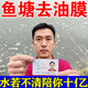 魚塘除油膜池塘改底解毒改善水質(zhì)凈化劑清除鐵銹去堿藻消毒殺菌藥 【魚塘去油膜】 300ml 1瓶