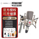 諾音曼/NEUMANN TLM102 大振膜專業(yè)電容麥克風錄音直播唱歌話筒高端設備德國進口 TLM102鎳色（帶防震架）