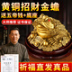 善揚(yáng)純黃銅金蟾招財(cái)擺件銅金蟬風(fēng)水?dāng)[件三腳金蟾蜍銅三足金蟾手把件 師傅推薦-金錢金蟾長14cm[帶底座+五帝錢]