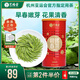 藝福堂【2025新茶上市】綠茶碧螺春茶明前特級(jí)250g花果清香江蘇云霧茶