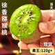 正宗陜西徐香獼猴桃綠心奇異果大果30枚當季新鮮現摘翠香翠玉整箱 24枚大果【新鮮現摘】