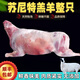 LZJV內(nèi)蒙古正宗蘇尼特散養(yǎng)羔羊整只羊肉生鮮禮盒全羊羊排整羊順豐包郵 蘇尼特羊半只10斤