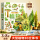 青葫蘆那么大恐龍3d立體書(shū)兒童3-6-7-10歲以上繪本翻翻書(shū)趣味科普恐龍百科全書(shū)揭秘恐龍世界繪本一二年級(jí)小學(xué)生少兒機(jī)關(guān)動(dòng)物課外故事書(shū)籍兒童生日禮物 那么大！立體書(shū)：植物