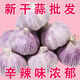 胖東I來優(yōu)選-紫皮大蒜頭紫白皮大蒜頭特大果批發(fā)大頭蒜新鮮紅皮 【金鄉(xiāng)大蒜足干】大蒜多吃法+廚房必備 1kg 產(chǎn)地臻品-帶箱3斤甄選特大果51mm+