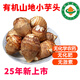 【順豐】有機(jī)小芋頭 芋艿芋子健康新鮮有機(jī)蔬菜 3斤【軟糯香滑】