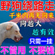 驅(qū)狗神器室外長(zhǎng)效專(zhuān)用強(qiáng)力驅(qū)野狗隨身攜帶防狗尿輪胎防止狗狗亂尿 一包裝【30小包】