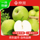 京覓碭山青梨 凈重3斤 4-6個(gè) 單果250g+ 青皮皇冠梨水果 源頭直發(fā)包郵