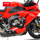 MRBR適配無(wú)極RR500S護(hù)杠防摔塊保險(xiǎn)杠摩托車競(jìng)技防護(hù)球水箱網(wǎng)改裝配件 無(wú)極RR500S標(biāo)準(zhǔn)護(hù)杠