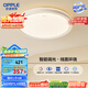 歐普（OPPLE）48瓦吸頂燈客廳臥室燈簡約護眼智控調(diào)光LED燈具18㎡品見III包安裝
