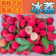 冰荔新鮮合江帶綠荔枝冰荔現(xiàn)摘現(xiàn)發(fā)晚熟品種空運(yùn) 50年老樹果冰荔5斤 順豐空運(yùn)到家