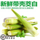 諸氏橙品茭白 云南高山新鮮現(xiàn)摘茭白帶殼 高筍嫩水筍蘆筍時令蔬菜整箱順豐 高山茭白帶殼 1.5KG，嘗鮮