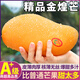 三萌果蔬新鮮金煌芒芒果 當(dāng)季現(xiàn)摘青皮水仙海南大芒果水果節(jié)日送禮 精選9斤裝【單果150g+】?jī)糁?斤