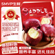 SMVP甘肅天水花牛蘋(píng)果新鮮水果當季正宗平果紅蛇粉面丑果整箱中秋節禮 精選9斤中果【特供裝】?jì)糁?.5斤