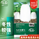 壽禾 蘿卜種子苗特大白皮蘿卜秋季蔬菜種籽 濰育九斤王種子25g/袋*2