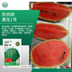 京農研西瓜甜瓜種子8424麒麟甜王無(wú)籽京欣西瓜大興L600超甜彩瓤小西瓜 澳龍1號紅瓤小西瓜 約20粒