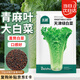 北蔬 青麻葉白菜種子苗直筒長白菜秋季蔬菜種籽 天津綠白菜種子2000粒