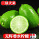 魯韻憶鄉香水檸檬海南香水子彈頭青檸皮薄多汁新鮮水果奶茶冷飲店家用均可 1斤