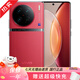 vivo x90 x90pro 天璣9200自研V2雙芯旗艦蔡司專(zhuān)業(yè)影像 二手5G全網(wǎng)通手機 X90Pro 華夏紅 12GB+256GB 99新