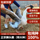 潮汕獅頭鵝苗正宗汕頭小獅頭鵝活苗特大種純種獅頭鵝成年幼苗順豐快遞 買10送5只路損【共15只 3兩左右】