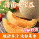 哈密瓜新鮮一箱西洲蜜瓜當(dāng)季水果甜冰淇淋蜜瓜整箱 5斤(凈重4.5斤)2-4個 精選裝