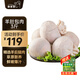 羋羊羊 國產(chǎn)灘羊 羊肚包肉3斤/12只 羊肉生鮮 中秋節 火鍋食材 源頭直發(fā)