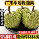 良知農(nóng)哥【順豐】廣東潮汕本地林檎番果 釋迦果新鮮佛頭果 牛奶大目釋迦 4斤 約10個(gè)