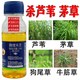 精喹禾靈大豆魔芋蘆葦花生茅草專用除草劑精奎禾靈乳油除草爛根劑 230ml